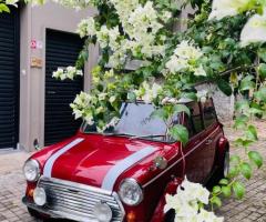 Mini Cooper for Sale