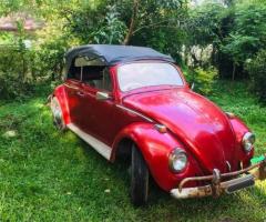 Volkswagen 1200 - Fully Rebuilt Engine!